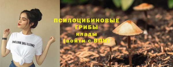 каннабис Арсеньев