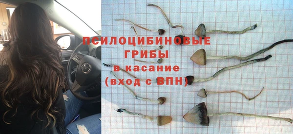 меф Армянск