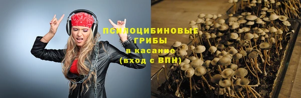 каннабис Арсеньев